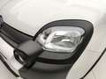 Fiat Panda PANDINA 1.0 70CV HYBRID (CROSS) Grigio - thumbnail 37