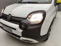 Fiat Panda PANDINA 1.0 70CV HYBRID (CROSS) Grigio - thumbnail 36