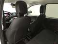 Fiat Panda PANDINA 1.0 70CV HYBRID (CROSS) Grigio - thumbnail 28