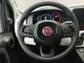 Fiat Panda PANDINA 1.0 70CV HYBRID (CROSS) Grigio - thumbnail 11