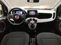 Fiat Panda PANDINA 1.0 70CV HYBRID (CROSS) Grigio - thumbnail 9