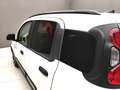 Fiat Panda PANDINA 1.0 70CV HYBRID (CROSS) Grigio - thumbnail 41