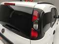 Fiat Panda PANDINA 1.0 70CV HYBRID (CROSS) Grigio - thumbnail 46