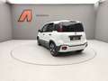 Fiat Panda PANDINA 1.0 70CV HYBRID (CROSS) Grigio - thumbnail 5
