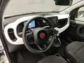 Fiat Panda PANDINA 1.0 70CV HYBRID (CROSS) Grigio - thumbnail 10