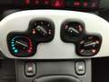 Fiat Panda PANDINA 1.0 70CV HYBRID (CROSS) Grigio - thumbnail 20