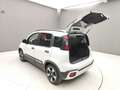Fiat Panda PANDINA 1.0 70CV HYBRID (CROSS) Grigio - thumbnail 48