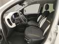 Fiat Panda PANDINA 1.0 70CV HYBRID (CROSS) Grigio - thumbnail 24