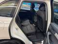 Audi Q5 2.0 TDI 110 kW quattro Weiß - thumbnail 13