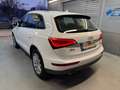 Audi Q5 2.0 TDI 110 kW quattro Weiß - thumbnail 5