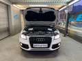 Audi Q5 2.0 TDI 110 kW quattro Weiß - thumbnail 9