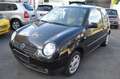 Volkswagen Lupo 1.4 Comfortline * AUTOMATIC - 78.000 KM * Czarny - thumbnail 3
