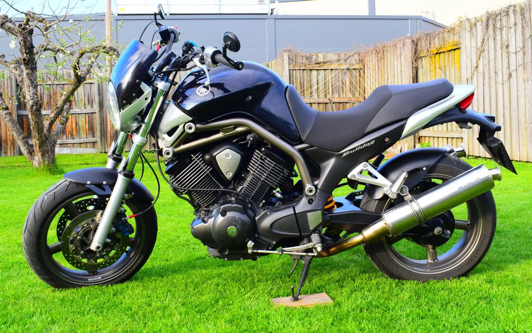 Yamaha BT 1100 Bulldog Azul - 1
