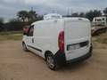 Fiat Doblo furgone 3 posti frigo coibentato Blanc - thumbnail 5