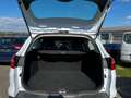 Ford Focus Business Weiß - thumbnail 4