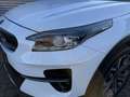 Kia XCeed 1.0 T-GDi DynamicLine | Clima | Cruise | Camera | Weiß - thumbnail 28