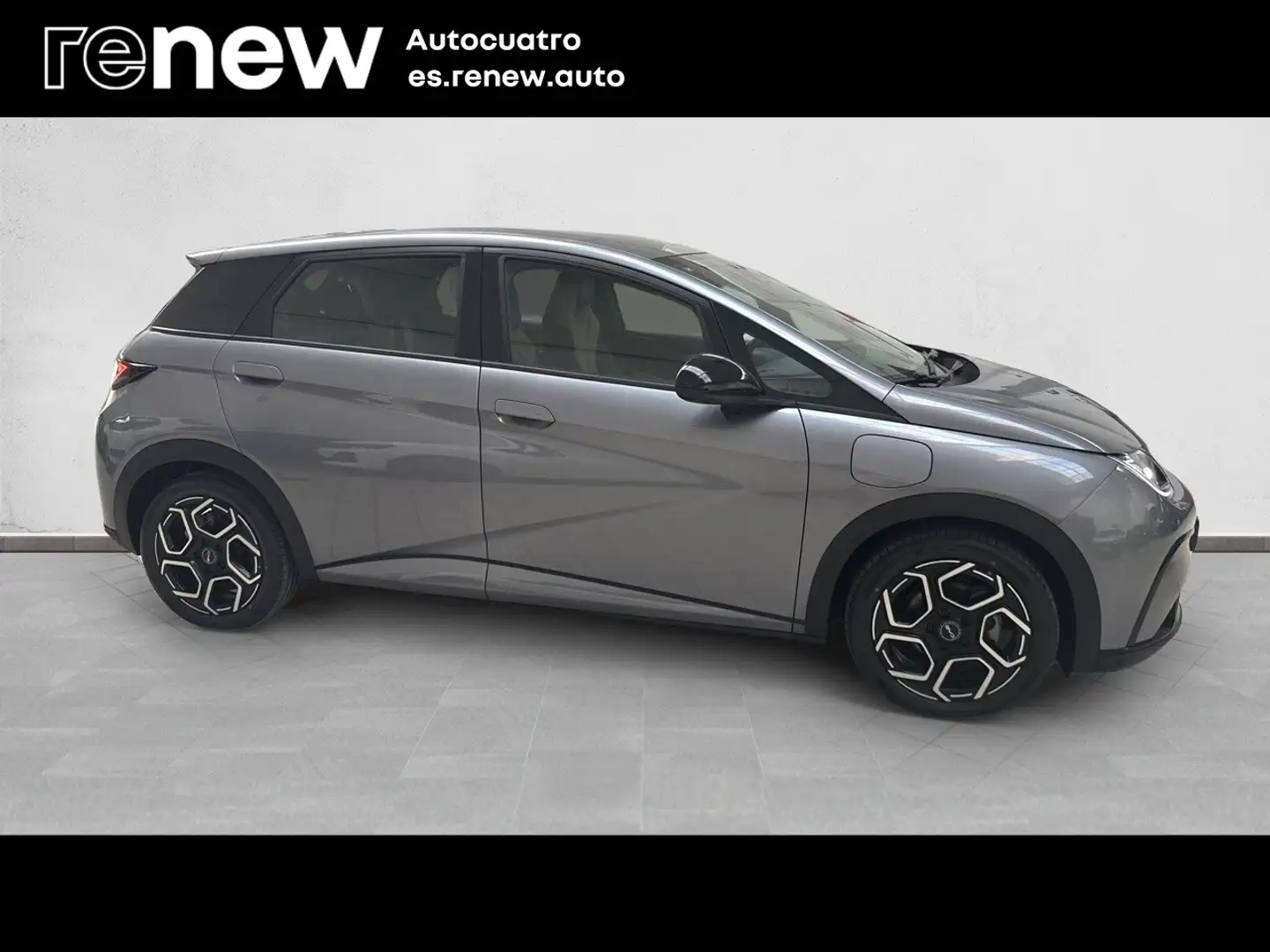 BYD Dolphin Comfort - 2