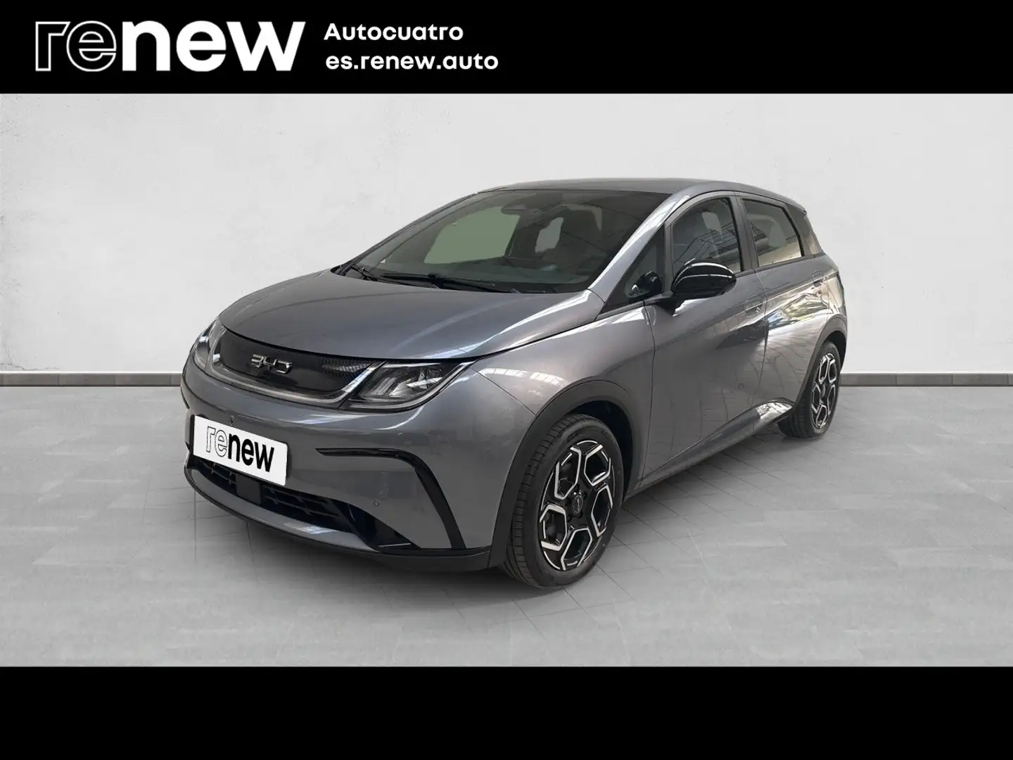 BYD Dolphin Comfort - 1