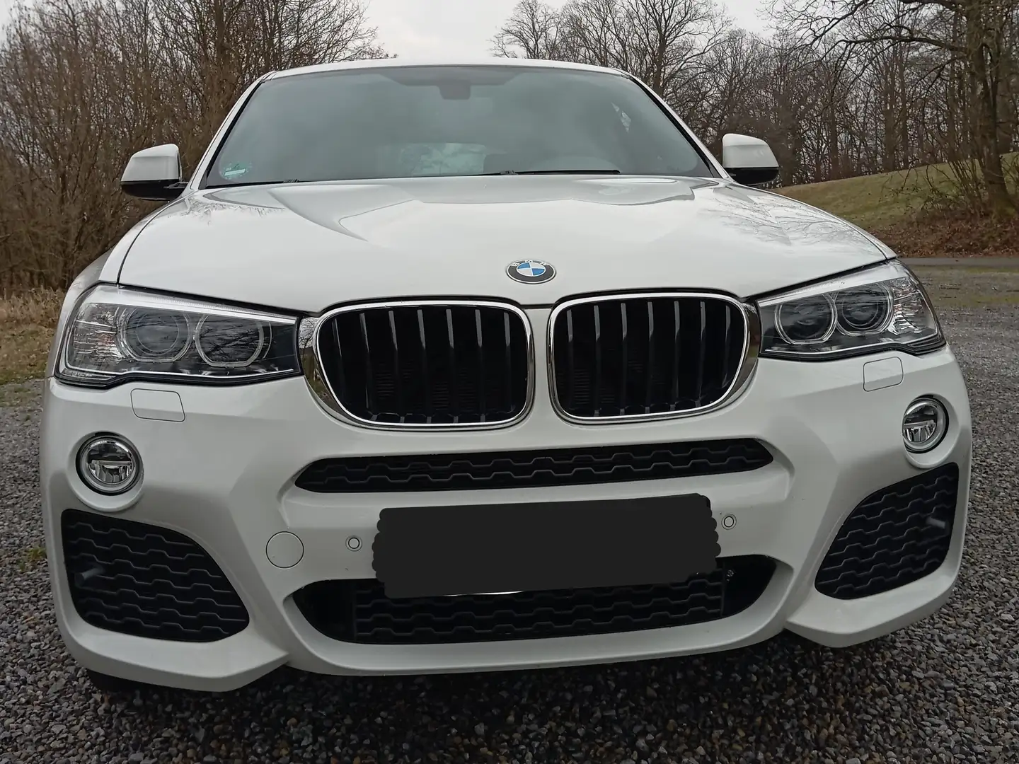 BMW X4 M X4 xDrive20d Aut. M Sport Білий - 1