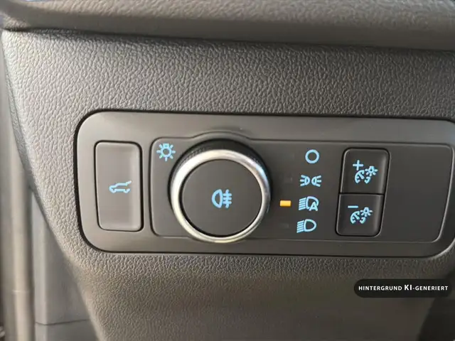 Ford Kuga view 13