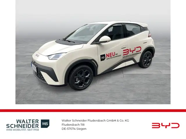 BYD Dolphin Surf