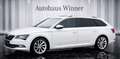 Skoda Superb 2.0 TDI Style DSG Aut. 190 PS Vollausstattung MwSt Weiß - thumbnail 5