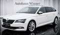 Skoda Superb 2.0 TDI Style DSG Aut. 190 PS Vollausstattung MwSt Weiß - thumbnail 2