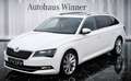 Skoda Superb 2.0 TDI Style DSG Aut. 190 PS Vollausstattung MwSt Weiß - thumbnail 1