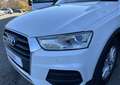 Audi Q3 2.0 TDI Phase 2 ultra 150 cv Ambiante Weiß - thumbnail 25