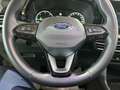 Ford Tourneo Connect Grand Tourneo Connect 2.0d 122CV Powershif 7 posti Grigio - thumbnail 13