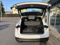 Porsche Cayenne E-Hybrid*EL.AHK*LED*KOM.SITZE*20"ALU*LUFTFEDER* Weiß - thumbnail 6