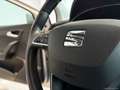 SEAT Ibiza 1.6 TDI 80CV 5p. Business Grigio - thumbnail 12