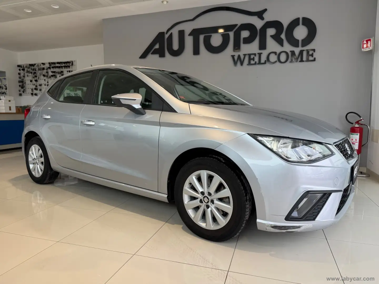 SEAT Ibiza 1.6 TDI 80CV 5p. Business Grigio - 2