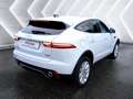 Jaguar E-Pace 2.0d i4 R-Dynamic SE awd 180cv auto my19 Bianco - thumbnail 4
