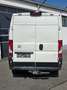 Citroen Jumper 35 L3H2 Profi Heavy BlueHDi 160 Weiß - thumbnail 5