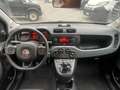 Fiat Panda 0.9 TwinAir Turbo S&S 4x4 Verde - thumbnail 8