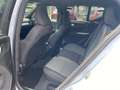 Volvo XC40 B3 FWD Plus Dark 19" ACC FSH H&K LED SHZ Bleu - thumbnail 15
