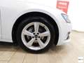 Audi A6 40 2.0 TDI S tr. Business Plus Bianco - thumbnail 5