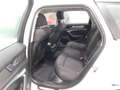Audi A6 40 2.0 TDI S tr. Business Plus Bianco - thumbnail 8