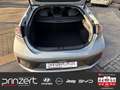 Hyundai IONIQ Hybrid 1.6 GDI 6DCT "Premium Paket" Allwetter Plateado - thumbnail 15