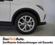 SEAT Arona FR Austria 1.0 TSI DSG Blanc - thumbnail 4