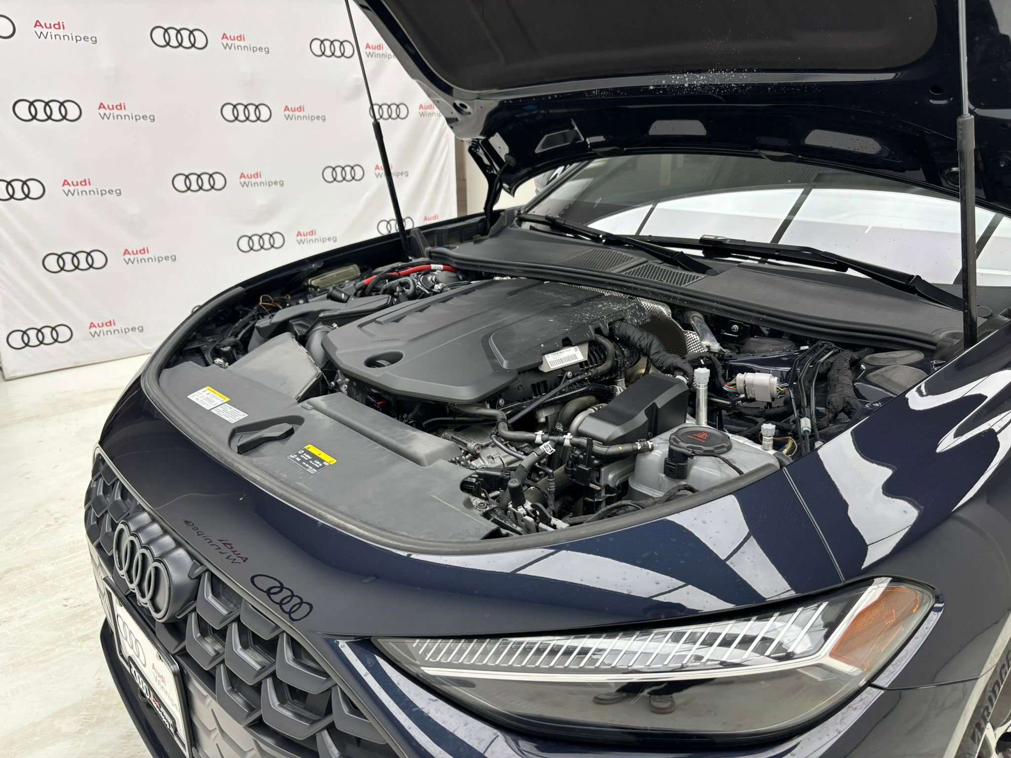 2025 Audi A5 Progressiv | Black Optics | Comfort Interior Packa thumb 10