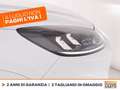 Ford Kuga 1.5 ecoblue st-line 2wd 120cv auto Alb - thumbnail 14
