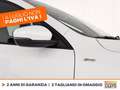 Ford Kuga 1.5 ecoblue st-line 2wd 120cv auto Alb - thumbnail 16