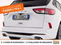 Ford Kuga 1.5 ecoblue st-line 2wd 120cv auto Alb - thumbnail 18