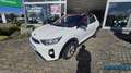 Kia Stonic 1.2 Vision Smarter Klima Einparkhilfe Kurvenlicht Weiß - thumbnail 1