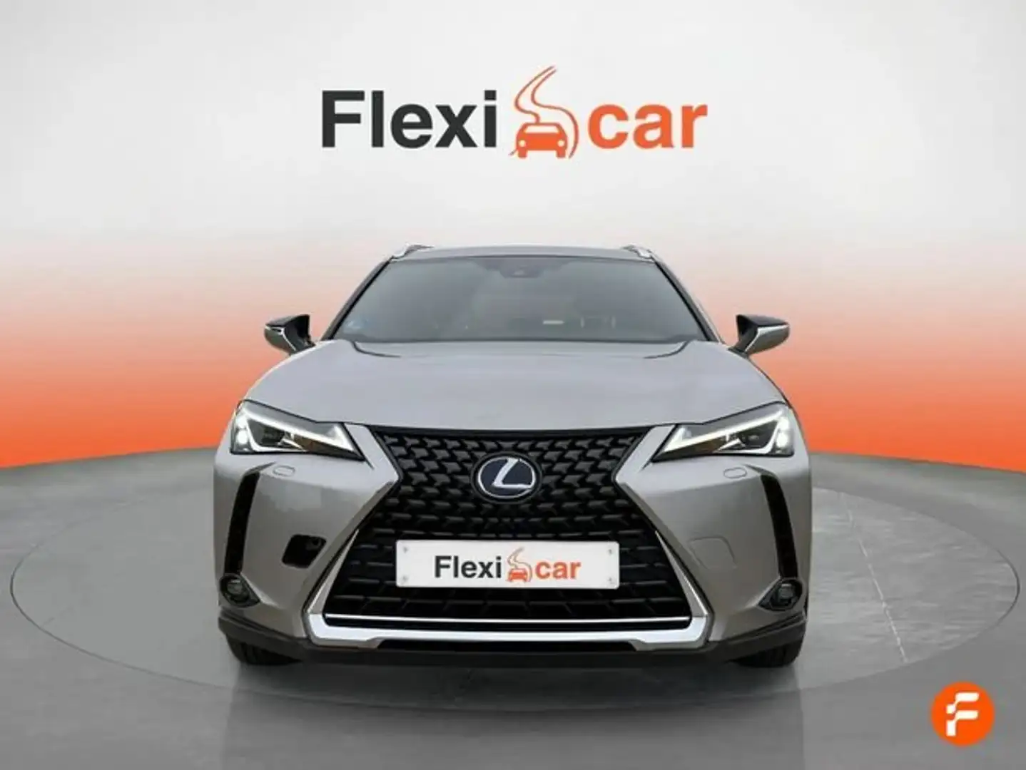 Lexus UX 250h 2.0 Business Navigation Gris - 1