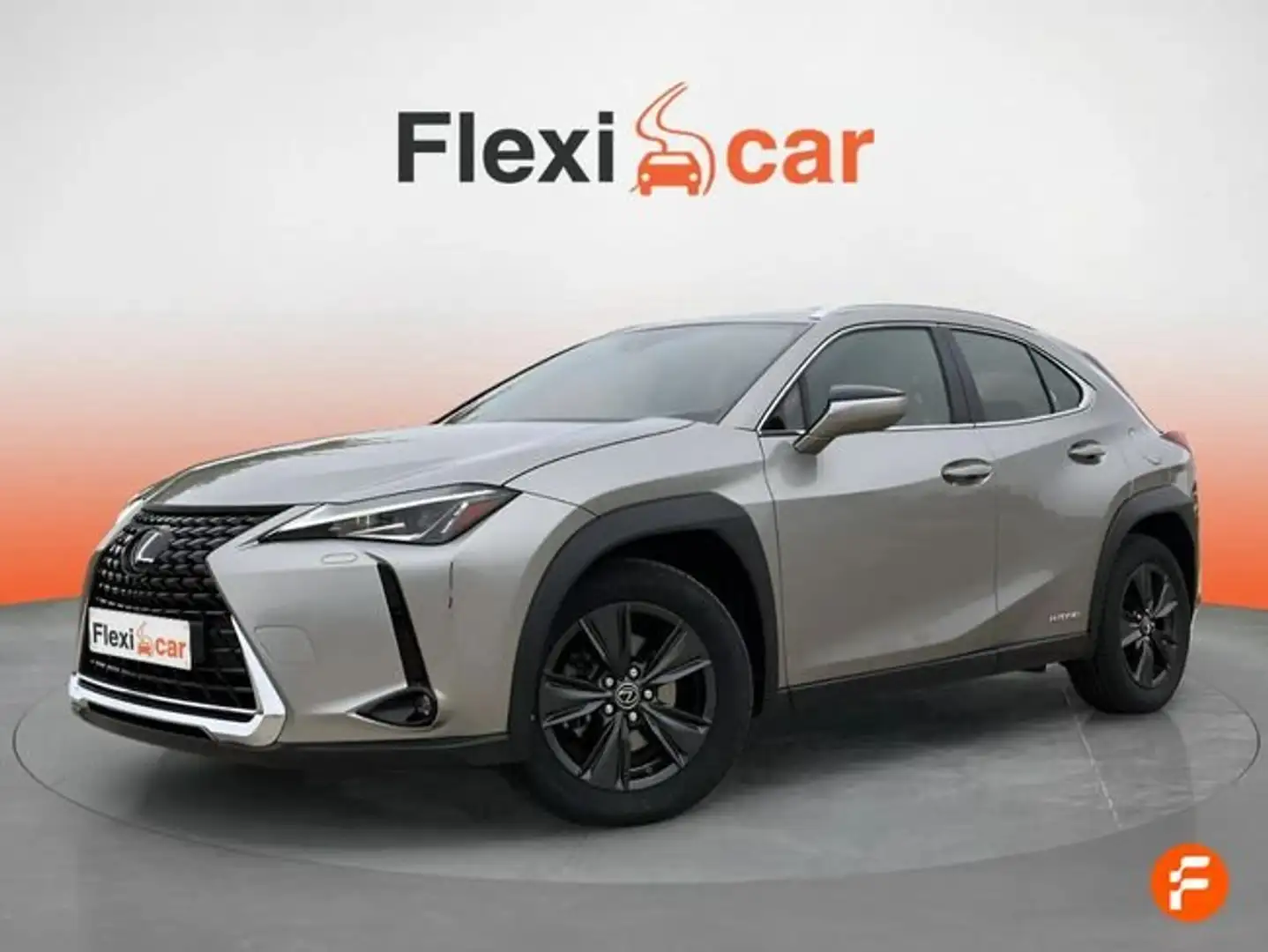 Lexus UX 250h 2.0 Business Navigation Gris - 2