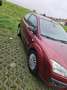 Ford Focus 1.6i 16v Ambiente - thumbnail 4