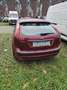 Ford Focus 1.6i 16v Ambiente - thumbnail 6